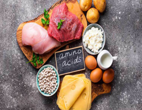 Animal Acids Nutrition Market to Receive Overwhelming Hike In Revenue by 2032