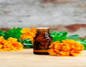Tagetes Oil Market by Growth, Emerging Trends and Forecast by 2023-2032