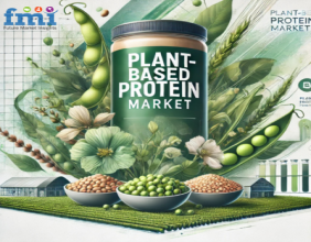 Plant-Based Protein Market Set to Surge: Projected Growth to USD 42.5 Billion by 2034 at an 8.6% CAGR