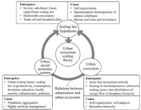 Scaling laws in urban ecosystems: a new perspective on city growth