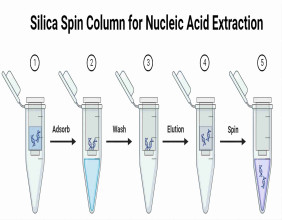 CD Bioparticles Launches Silica Spin Column for Nucleic Acid Extraction