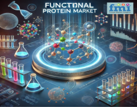 Functional Protein Market Trends: From Health Supplements to Functional Foods