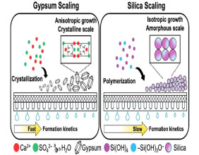 Explores the Impact of Gypsum and Silica Scaling in Water Desalination