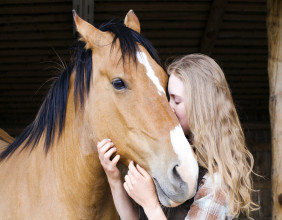 Ranchweb Announces Re-Launch of Robust Website Bringing the Variations of Ranch Country to the World