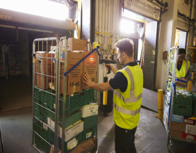Warehouse Roll Cages: Types, Benefits, and Best Practices Explained