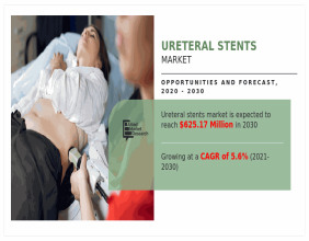 Ureteral Stents Market Size Projected to Reach USD 625.17 million by 2030 at a 5.6% CAGR, Says AMR