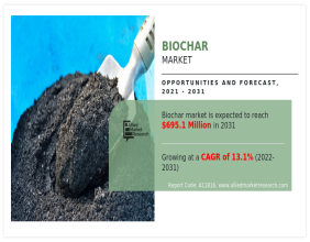 Biochar Market: Key Drivers, Challenges, and Opportunities Ahead 2031