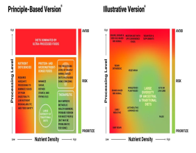 Introducing the Nourishment Table: A New Dietary Framework