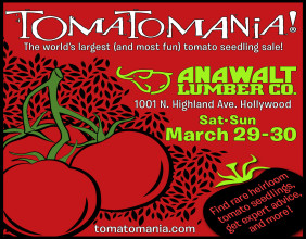 TomatoMania! Takes the Stage in Hollywood
