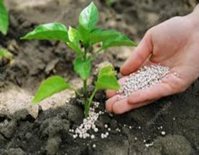 Fertilizer Additives Market Dynamics Demystified Future Proofing Your Business for Tomorrow