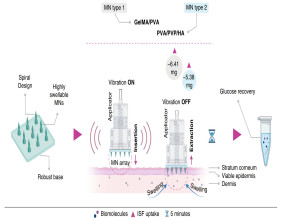 Micro-vibration microneedles: paving the way for rapid and minimally invasive biomarker detection