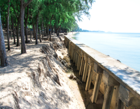 How Vinyl Bulkheads Stand Up to Coastal Conditions and Saltwater Exposure