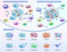 Unveiling the Role of Tumor-Infiltrating Immune Cells in Endometrial Carcinoma