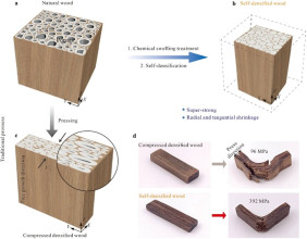 Self-Densified Super-Strong Wood: A Sustainable Alternative to Traditional Structural Materials