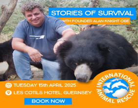 A Wild Afternoon Awaits! Join Us For 'Behind Bear & Orangutan Rescue – Stories Of Survival' With Alan Knight Obe