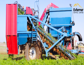 Evfarmer announces strategic partnership with multiple carrot farms in Picardy, France