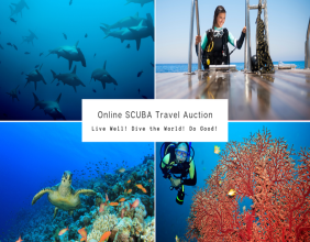 From Devastation to Determination: Global Travel Auction Offers Dream Trips to Save the Oceans