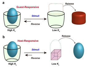 Controllable Ultrahigh-Affinity Molecular Recognition Explained Through ‘Molecular Velcro’
