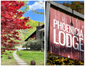{verdigreen} hotels Welcomes Iconic Phoenicia Lodge to Its Boutique Collection