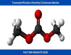Transesterification Dimethyl Carbonate Market to Reach USD 825.7 Million by 2035, Growing at 4.5% CAGR