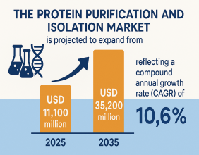 Protein Purification and Isolation Market Poised to Triple by 2035: Biotech Breakthroughs & Personalized Medicine | FMI