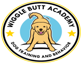 Wiggle Butt Academy Welcomes Rhea Northcut, CPDT-KA, CSAT, FDM — A Certified Expert in Separation Anxiety Training