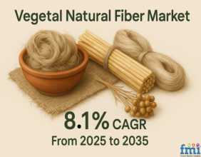 Global Vegetal Natural Fibers Market to Reach USD 29.7 Billion by 2035, Growing at 8.1% CAGR | Future Market Insights