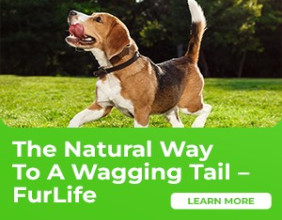 FurLife Announces Launch of Natural Flea & Tick Shampoo and Spray