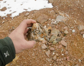 Going for the Gold - What's Next for Canada's Gold Producer's as Gold Hits New Highs
