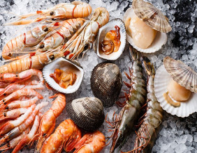 Seafood Flavors Market to Surpass USD 9.93 Billion by 2035 Amidst Rising Demand for Sustainable Flavoring Solutions