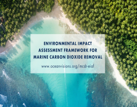 Ocean Visions to Develop Environmental Impact Assessment Framework for mCDR Research