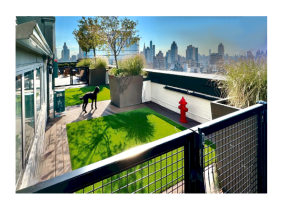 Pup-Grass® Artificial Grass for Dogs: Now offering Installation Services Nationwide