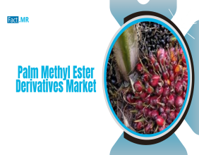 Global Palm Methyl Ester Derivatives Market to Hit USD 2.1 Billion by 2035, Growing at 5.1% CAGR, Says Fact.MR