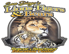 Lions Tigers & Bears Assist in Transfer of Exotic Animals from Unpermitted Facility in California