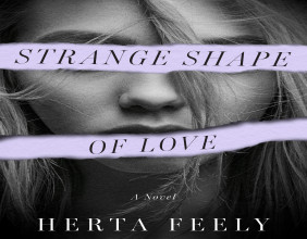 Castle Bridge Media Announces September 2025 Launch of Strange Shape of Love