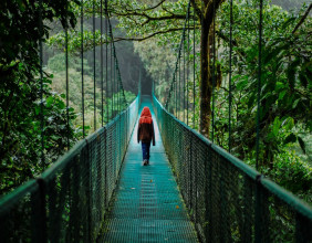 Ecotourism Market Set to Hit $829.8 Billion by 2035, Expanding at an 11.7% CAGR