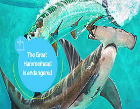 Guy Harvey Foundation and Texas A&M-Corpus Christi’s Harte Research Institute Launch Educational Programming in Texas