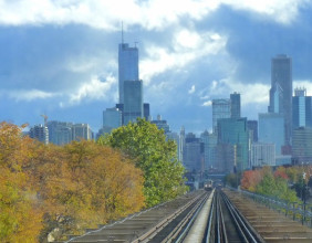 A Journal of Environmental Sciences Study Investigates Trees Best Suited for Cities