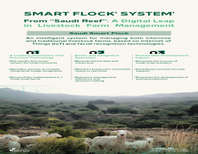 Reef Saudi Implements 'Smart Flock' System for the First Time in Intensive Livestock Farming Using IoT