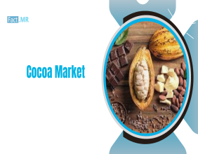 Global Cocoa Market to Surpass USD 96 Billion by 2035, Growing at a CAGR of 5.4%