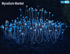 Mycelium Market to Surpass US$ 7,670 Million, Expanding at 8.1% CAGR by 2035: Fact.MR Analysis