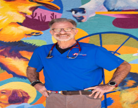 Dr. Randy Aronson: Integrative Veterinarian Launches Podcast to Educate Pet Owners on Animal Longevity and Wellness