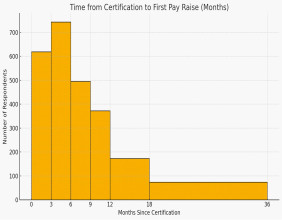 Management and Strategy Institute White Paper Confirms Six Sigma Certification Drives Faster Raises and Promotions