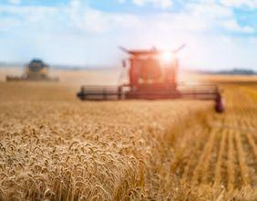 What Caused the Decline in Ag Growth International’s Stock Price?