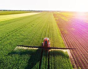 Wide Open Agriculture Reshapes Curtin Royalty Strategy