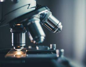 Will Galectin Therapeutics Evolve Amid Shifting Institutional Holdings?