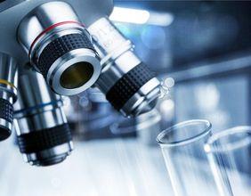 Is SpringWorks Therapeutics Experiencing Unusual Trading Activity?