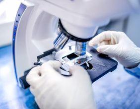 Why Is (ASX:PAR) Highlighted in ASX Healthcare Sector?