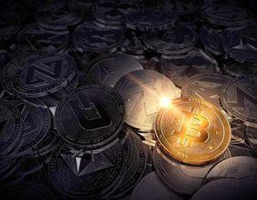 Crypto Industry Gears Up for Trump’s Second Term with Record Donations