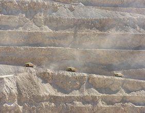 Is Institutional Investment Reshaping Global Mining Trends?